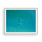Paddleboarders